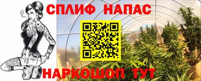 твердый Коммунар